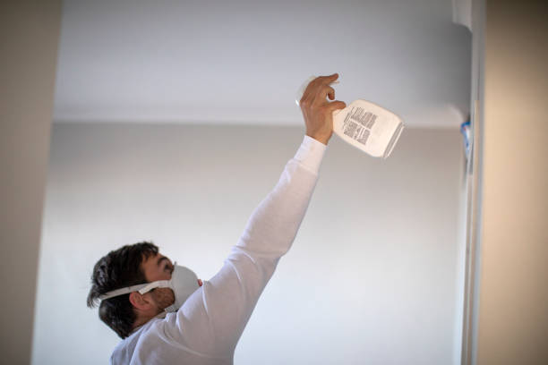 Best Certified Mold Removal  in Manhattan, MT
