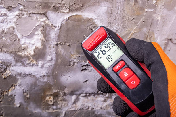 Best Mold Removal and Inspection  in Manhattan, MT
