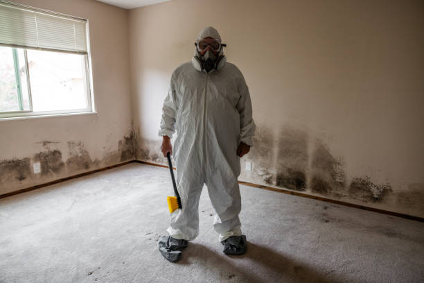 Best Affordable Mold Removal  in Manhattan, MT